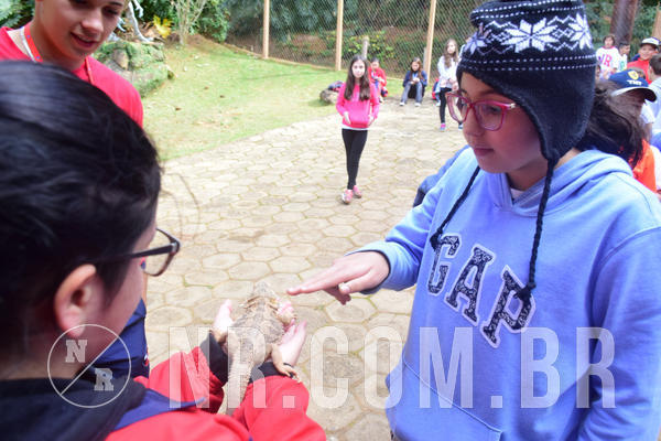 Buy your photos of the eventNR1 - Cl�ssico de 28 a 01/07/18 on Fotop