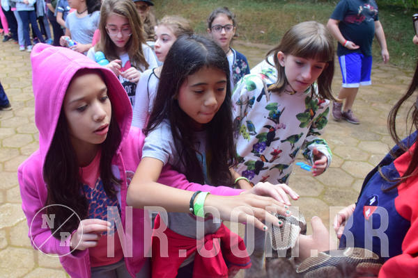 Buy your photos of the eventNR1 - Cl�ssico de 28 a 01/07/18 on Fotop