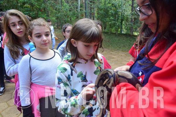 Buy your photos of the eventNR1 - Cl�ssico de 28 a 01/07/18 on Fotop