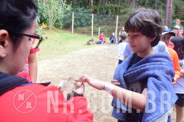 Buy your photos of the eventNR1 - Cl�ssico de 28 a 01/07/18 on Fotop