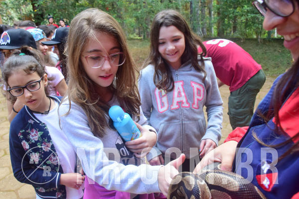 Buy your photos of the eventNR1 - Cl�ssico de 28 a 01/07/18 on Fotop