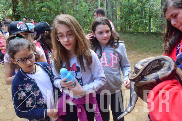 Buy your photos of the eventNR1 - Cl�ssico de 28 a 01/07/18 on Fotop