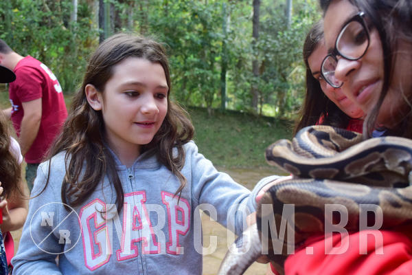 Buy your photos of the eventNR1 - Cl�ssico de 28 a 01/07/18 on Fotop