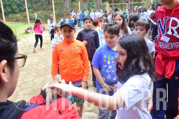 Buy your photos of the eventNR1 - Cl�ssico de 28 a 01/07/18 on Fotop