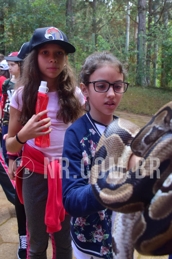 Buy your photos of the eventNR1 - Cl�ssico de 28 a 01/07/18 on Fotop