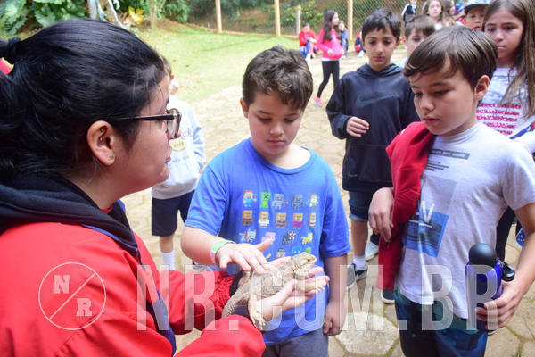 Buy your photos of the eventNR1 - Cl�ssico de 28 a 01/07/18 on Fotop