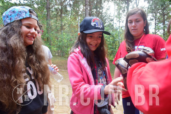 Buy your photos of the eventNR1 - Cl�ssico de 28 a 01/07/18 on Fotop