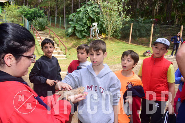 Buy your photos of the eventNR1 - Cl�ssico de 28 a 01/07/18 on Fotop