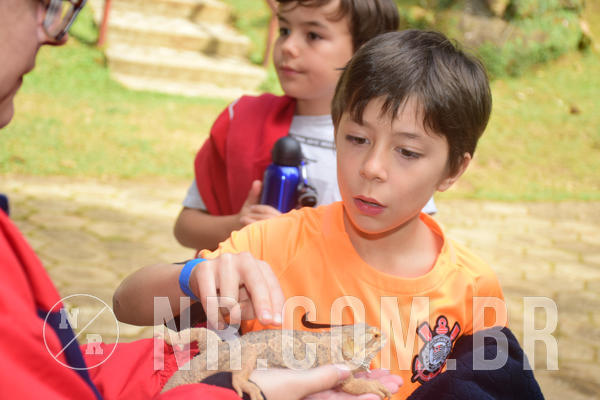 Buy your photos of the eventNR1 - Cl�ssico de 28 a 01/07/18 on Fotop