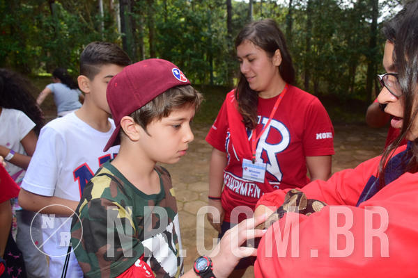 Buy your photos of the eventNR1 - Cl�ssico de 28 a 01/07/18 on Fotop