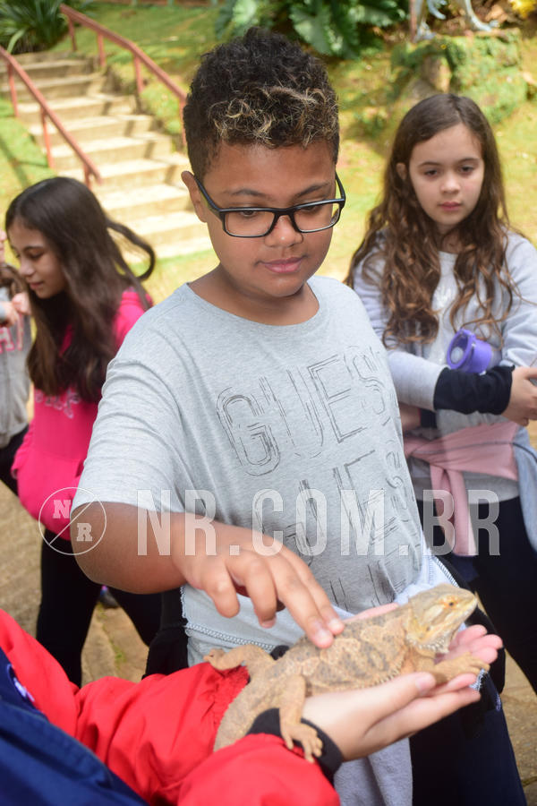 Buy your photos of the eventNR1 - Cl�ssico de 28 a 01/07/18 on Fotop