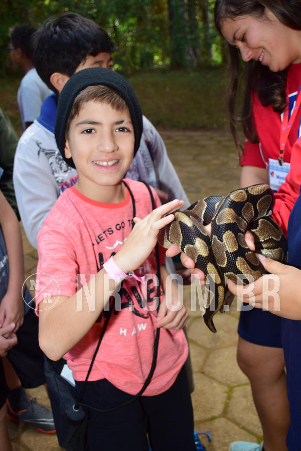 Buy your photos of the eventNR1 - Cl�ssico de 28 a 01/07/18 on Fotop