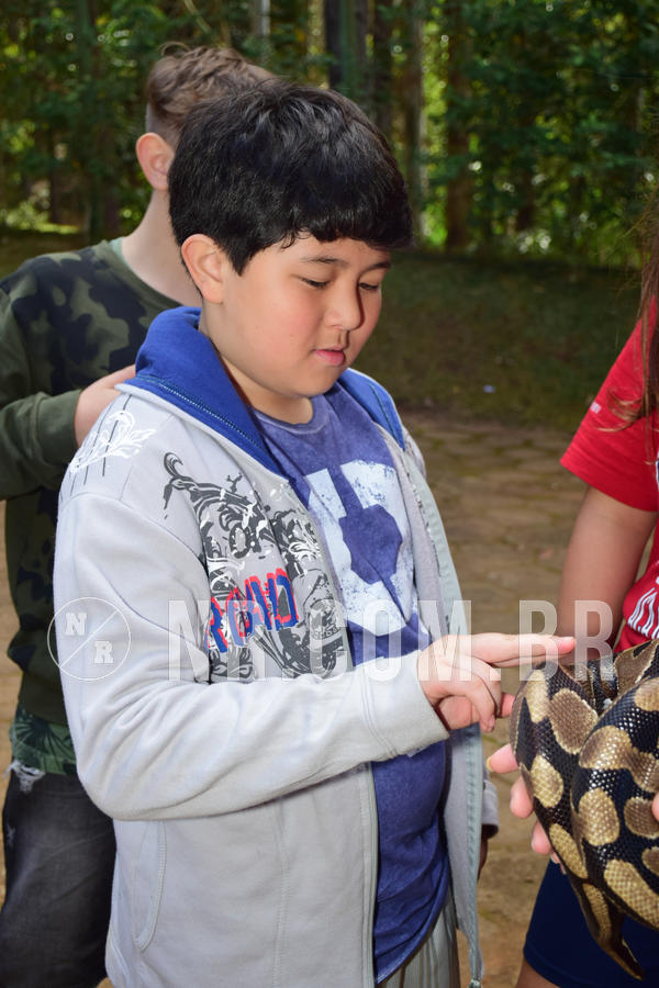 Buy your photos of the eventNR1 - Cl�ssico de 28 a 01/07/18 on Fotop