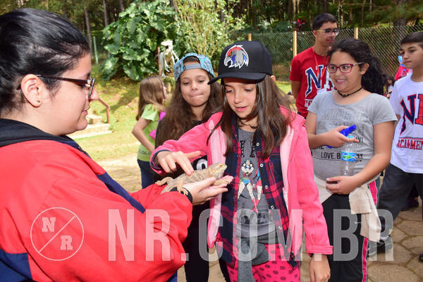 Buy your photos of the eventNR1 - Cl�ssico de 28 a 01/07/18 on Fotop