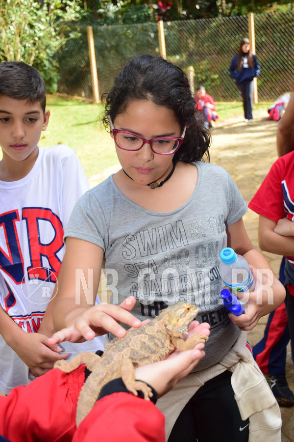 Buy your photos of the eventNR1 - Cl�ssico de 28 a 01/07/18 on Fotop