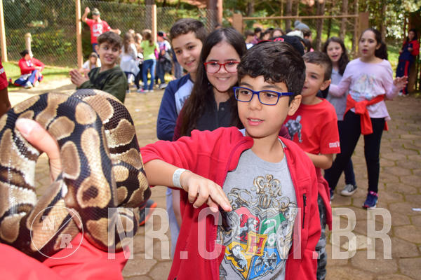 Buy your photos of the eventNR1 - Cl�ssico de 28 a 01/07/18 on Fotop