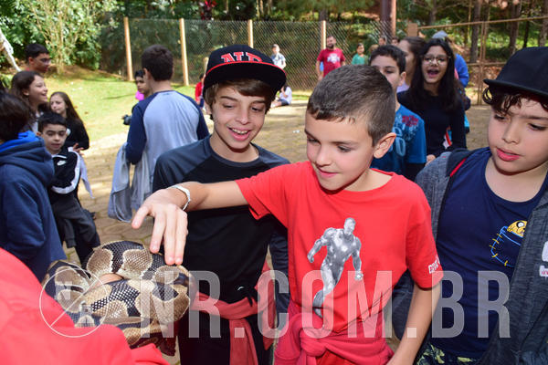 Buy your photos of the eventNR1 - Cl�ssico de 28 a 01/07/18 on Fotop