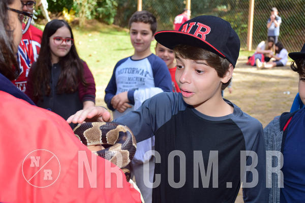 Buy your photos of the eventNR1 - Cl�ssico de 28 a 01/07/18 on Fotop