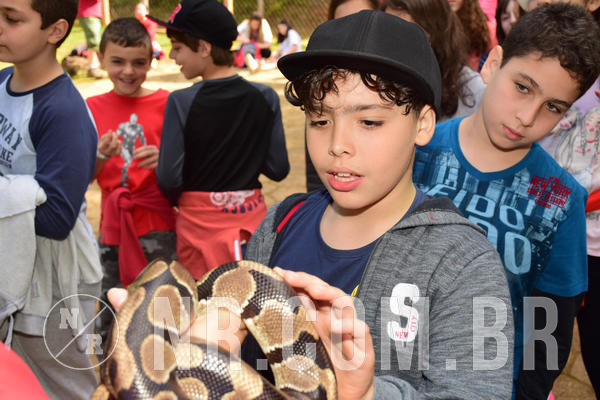 Buy your photos of the eventNR1 - Cl�ssico de 28 a 01/07/18 on Fotop