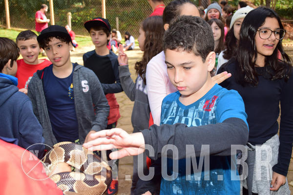 Buy your photos of the eventNR1 - Cl�ssico de 28 a 01/07/18 on Fotop