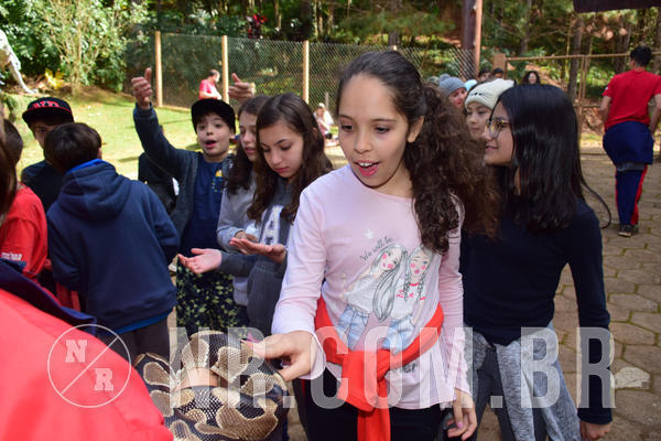 Buy your photos of the eventNR1 - Cl�ssico de 28 a 01/07/18 on Fotop