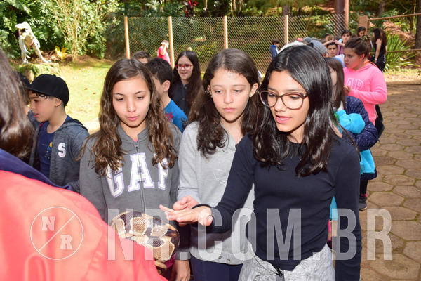 Buy your photos of the eventNR1 - Cl�ssico de 28 a 01/07/18 on Fotop