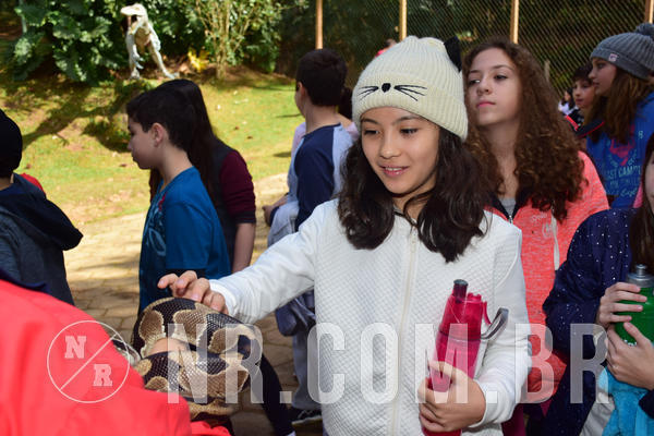 Buy your photos of the eventNR1 - Cl�ssico de 28 a 01/07/18 on Fotop