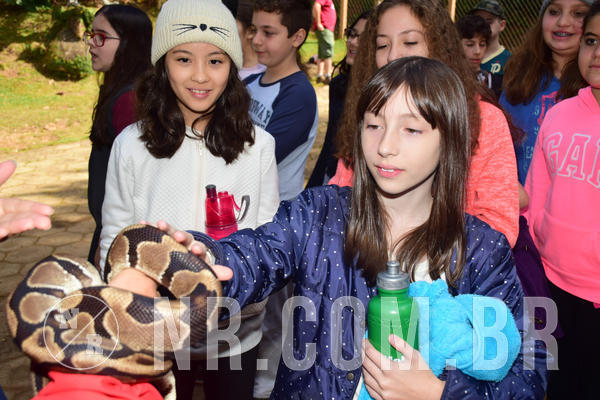 Buy your photos of the eventNR1 - Cl�ssico de 28 a 01/07/18 on Fotop