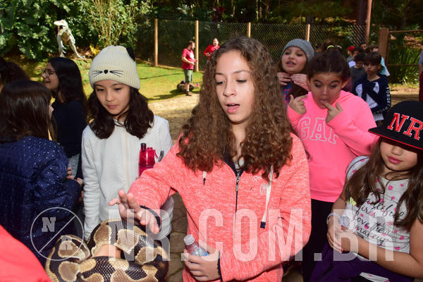 Buy your photos of the eventNR1 - Cl�ssico de 28 a 01/07/18 on Fotop