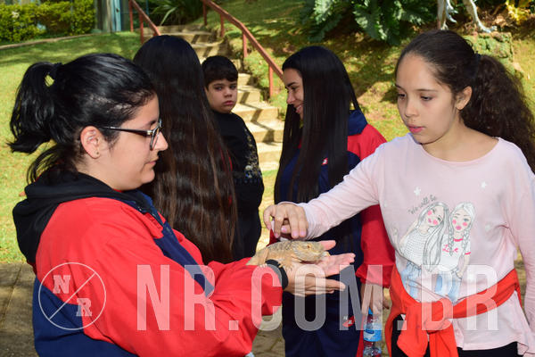 Buy your photos of the eventNR1 - Cl�ssico de 28 a 01/07/18 on Fotop