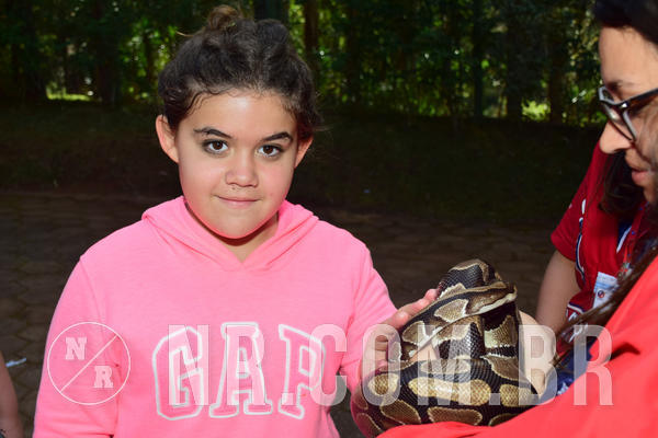 Buy your photos of the eventNR1 - Cl�ssico de 28 a 01/07/18 on Fotop