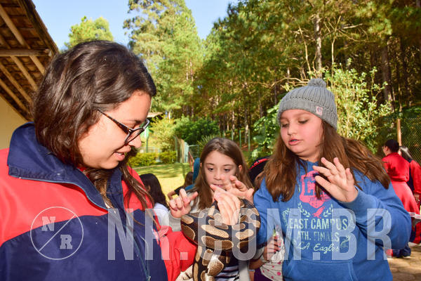 Buy your photos of the eventNR1 - Cl�ssico de 28 a 01/07/18 on Fotop