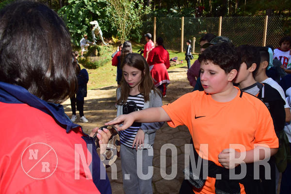 Buy your photos of the eventNR1 - Cl�ssico de 28 a 01/07/18 on Fotop