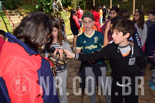 Buy your photos of the eventNR1 - Cl�ssico de 28 a 01/07/18 on Fotop