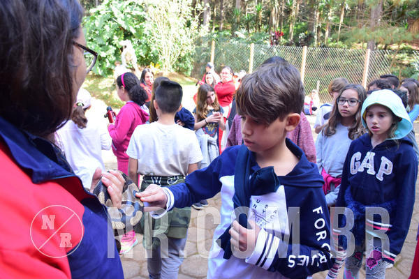 Buy your photos of the eventNR1 - Cl�ssico de 28 a 01/07/18 on Fotop