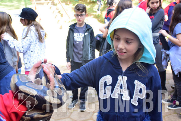 Buy your photos of the eventNR1 - Cl�ssico de 28 a 01/07/18 on Fotop