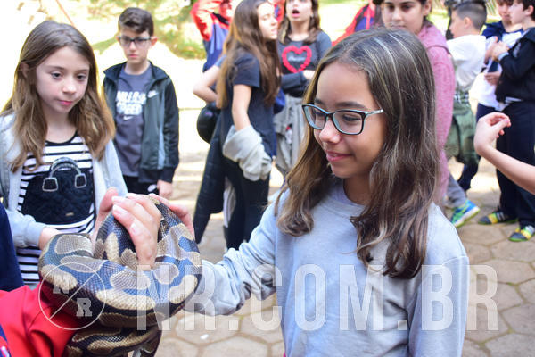 Buy your photos of the eventNR1 - Cl�ssico de 28 a 01/07/18 on Fotop