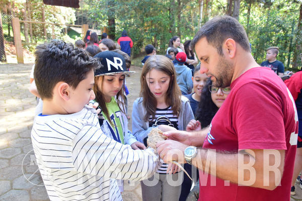 Buy your photos of the eventNR1 - Cl�ssico de 28 a 01/07/18 on Fotop