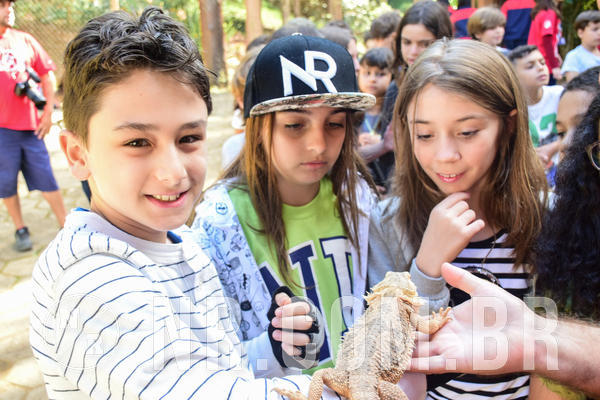 Buy your photos of the eventNR1 - Cl�ssico de 28 a 01/07/18 on Fotop