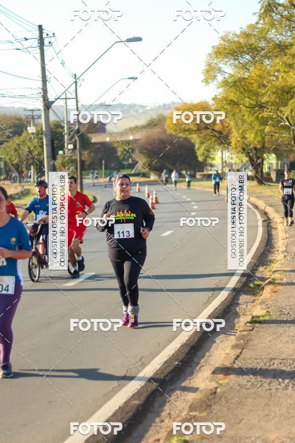 Buy your photos of the event7� Corrida APAE  - Po�os de Caldas - MG on Fotop