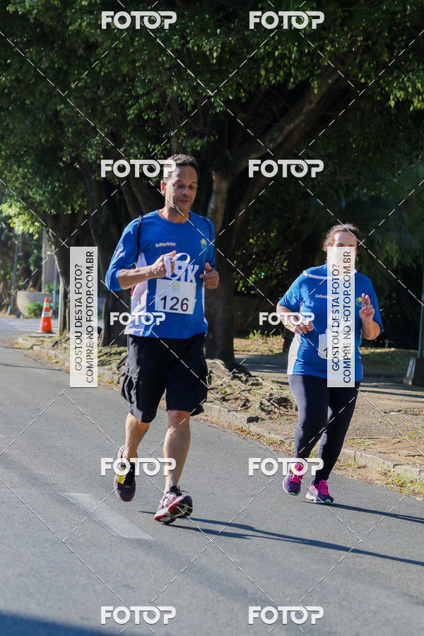 Buy your photos of the event7� Corrida APAE  - Po�os de Caldas - MG on Fotop