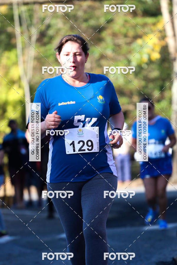 Buy your photos of the event7� Corrida APAE  - Po�os de Caldas - MG on Fotop