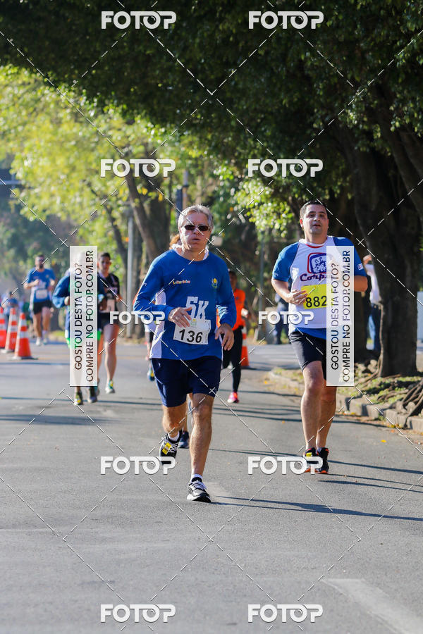 Buy your photos of the event7� Corrida APAE  - Po�os de Caldas - MG on Fotop