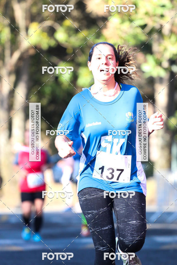 Buy your photos of the event7� Corrida APAE  - Po�os de Caldas - MG on Fotop