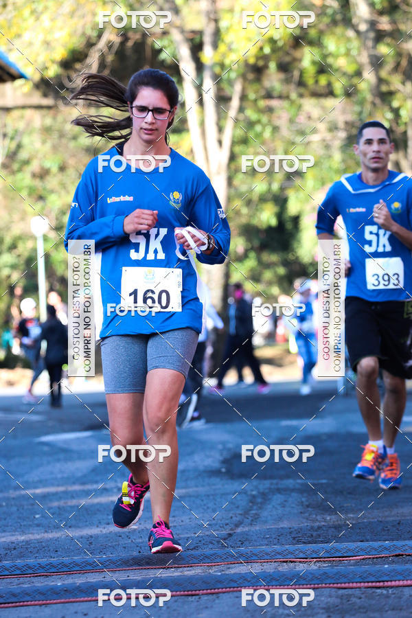 Buy your photos of the event7� Corrida APAE  - Po�os de Caldas - MG on Fotop