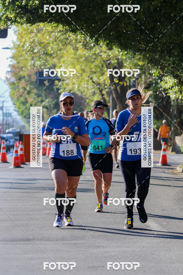 Buy your photos of the event7� Corrida APAE  - Po�os de Caldas - MG on Fotop