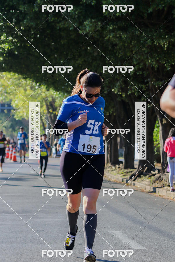 Buy your photos of the event7� Corrida APAE  - Po�os de Caldas - MG on Fotop