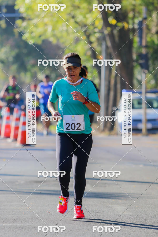 Buy your photos of the event7� Corrida APAE  - Po�os de Caldas - MG on Fotop