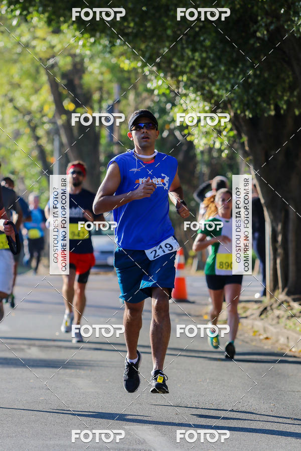 Buy your photos of the event7� Corrida APAE  - Po�os de Caldas - MG on Fotop