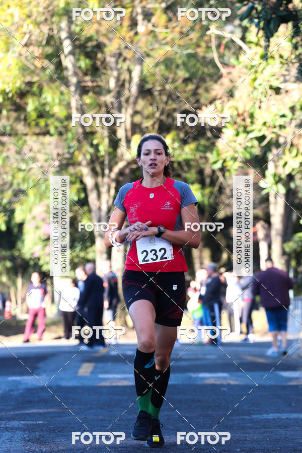 Buy your photos of the event7� Corrida APAE  - Po�os de Caldas - MG on Fotop